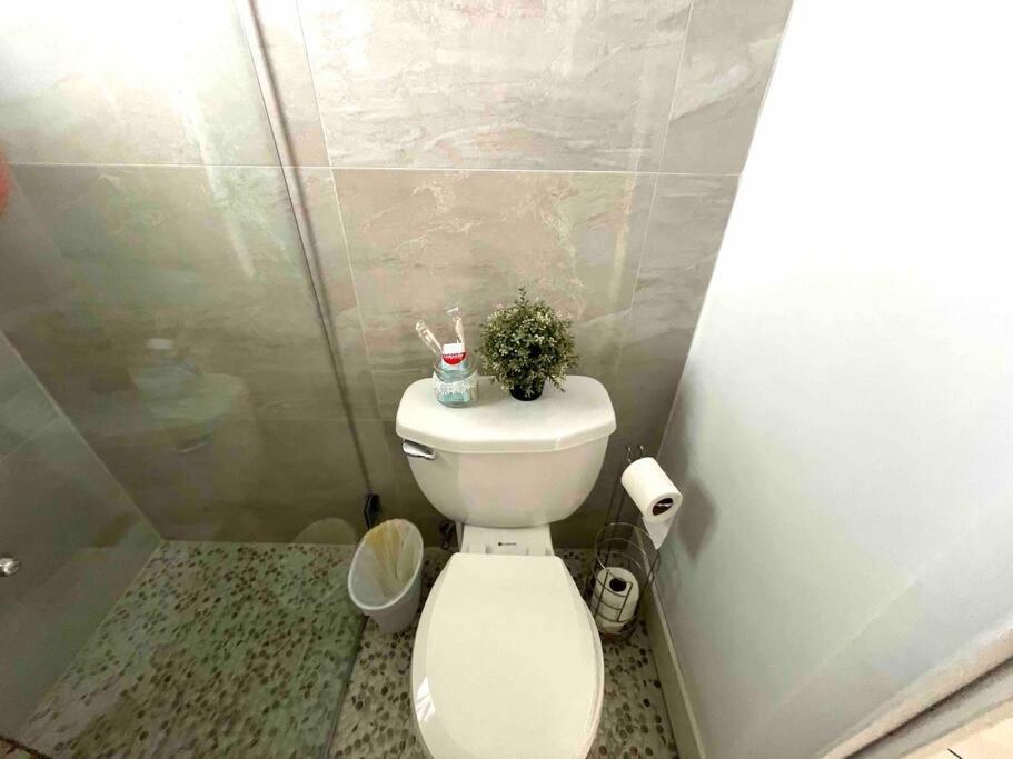 מיאמי Private Room In The Heart Of Calle Ocho מראה חיצוני תמונה